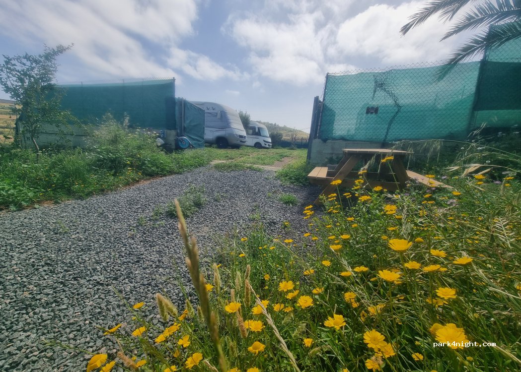 Finca Agrícola  en San Lorenzo — foto 3