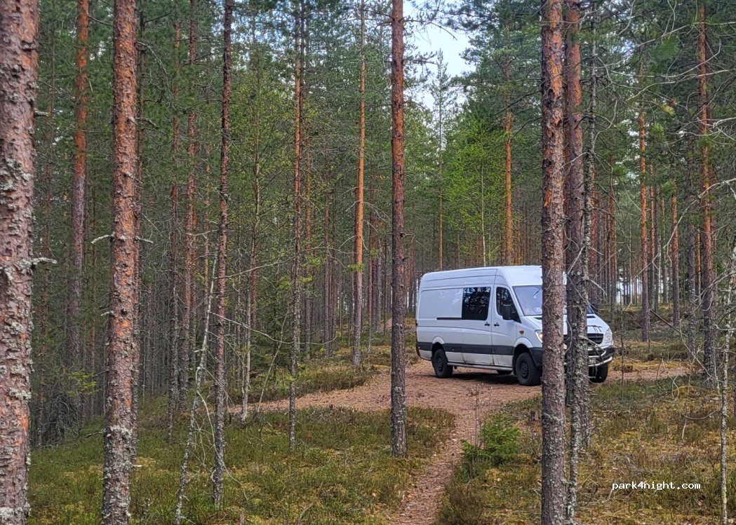 (71920) Lapinlahti - 67 Ryynälänmäentie — foto