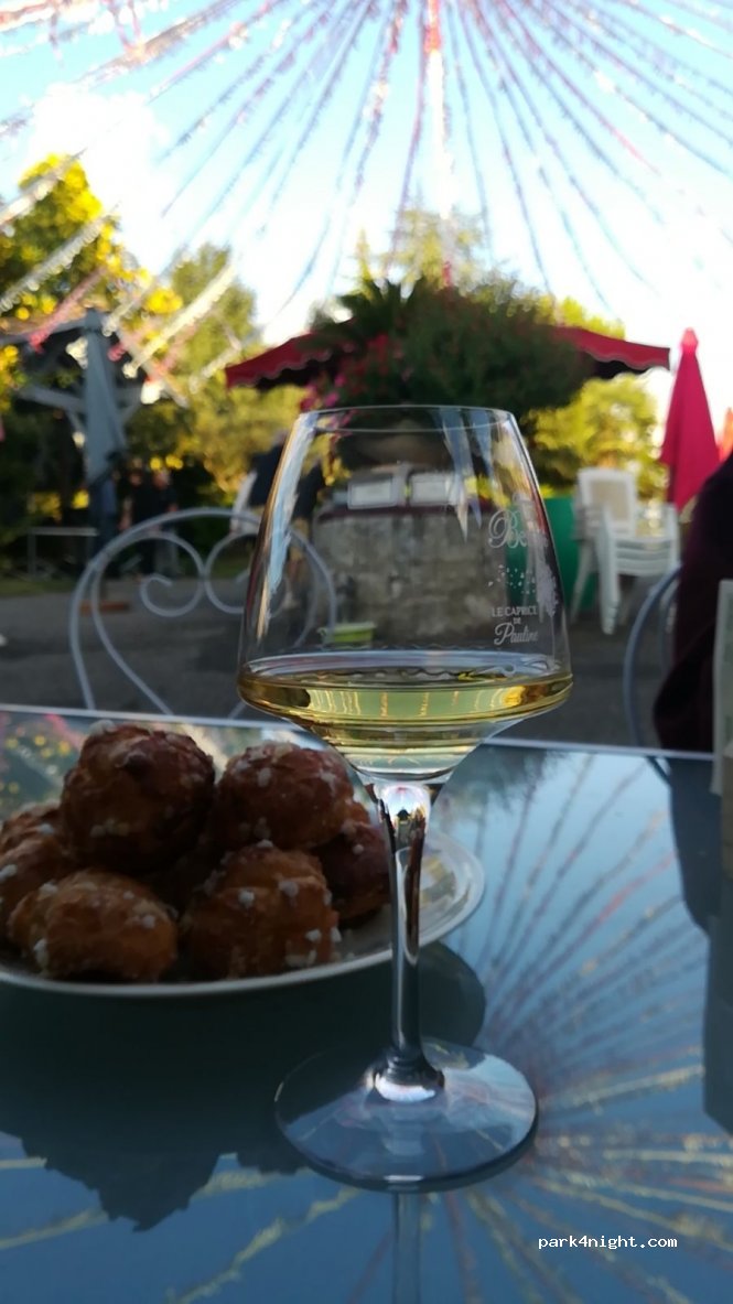 Domaine Les Bertins — foto 4