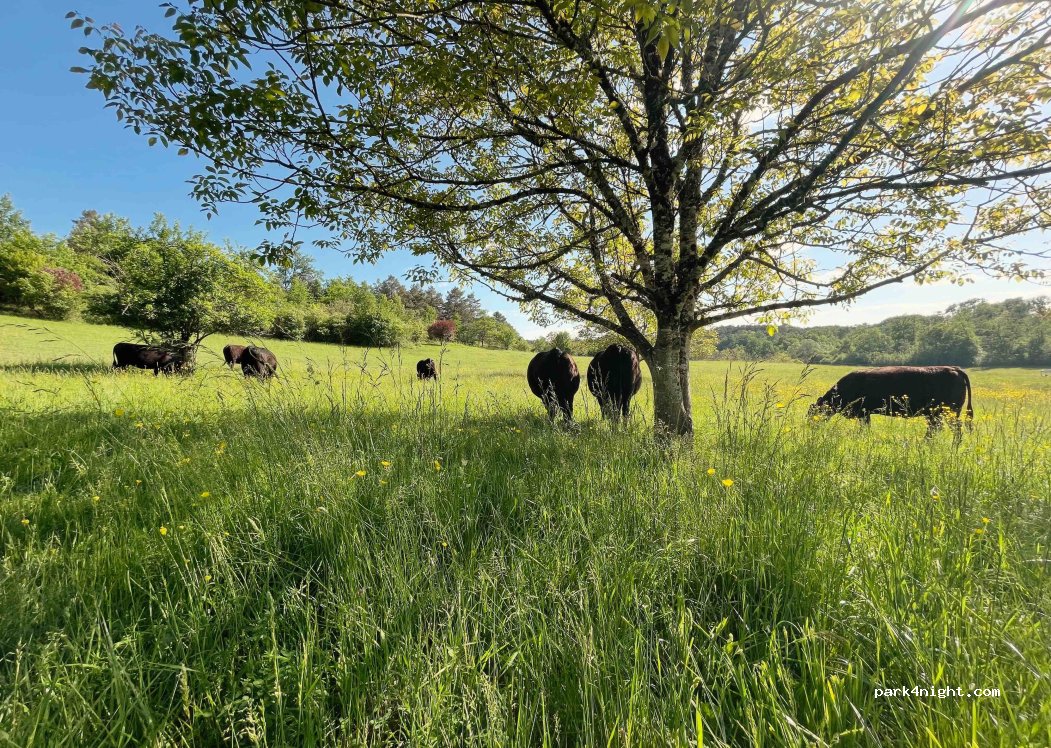 (24064) Brantôme en Périgord - 521 Impasse de la Loubarie — foto