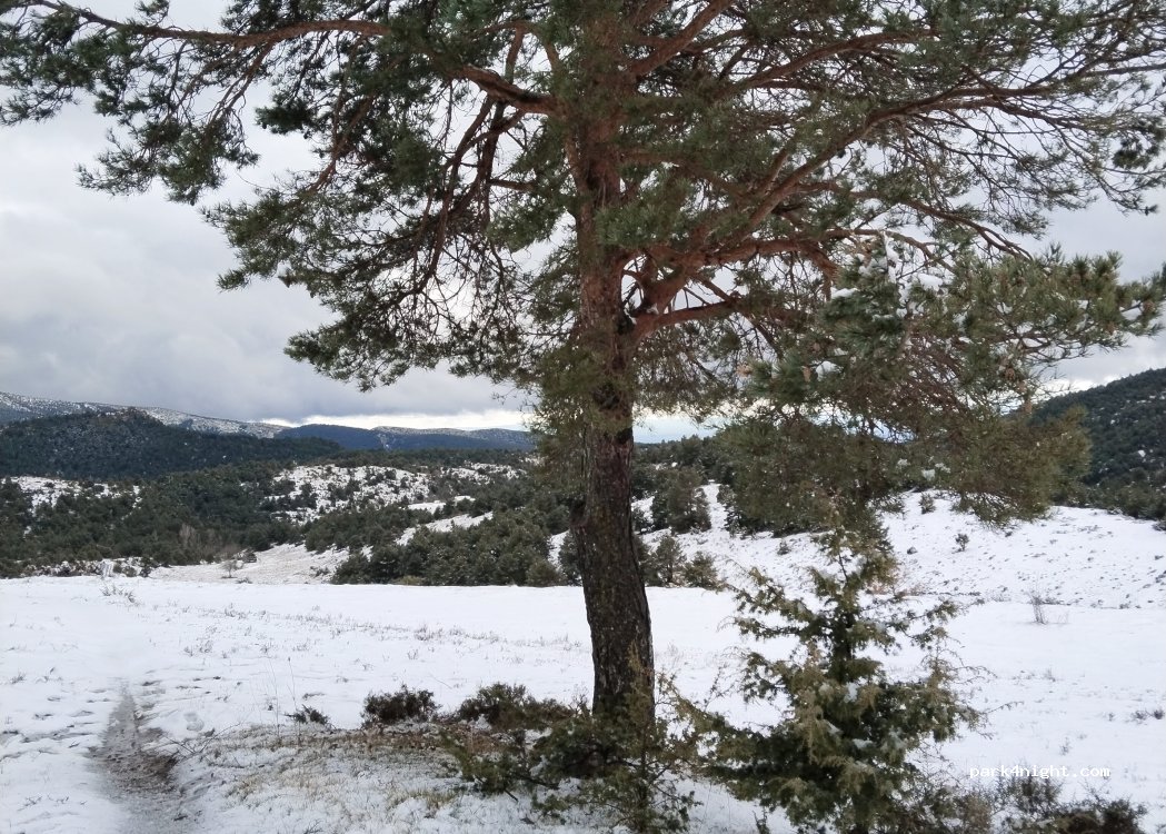 Finca Cal Torrades — foto 5