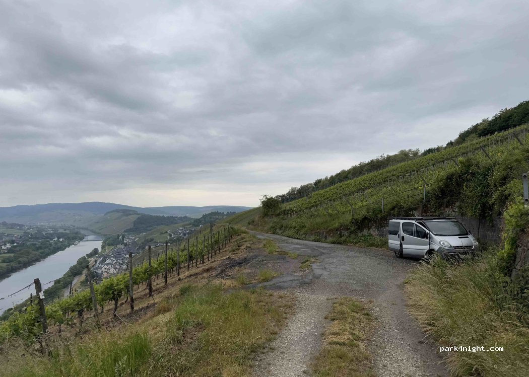 (54470) Lieser - — foto