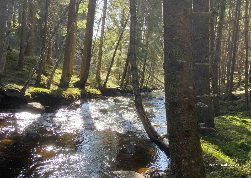 (655 98) Acksjön - — foto 4