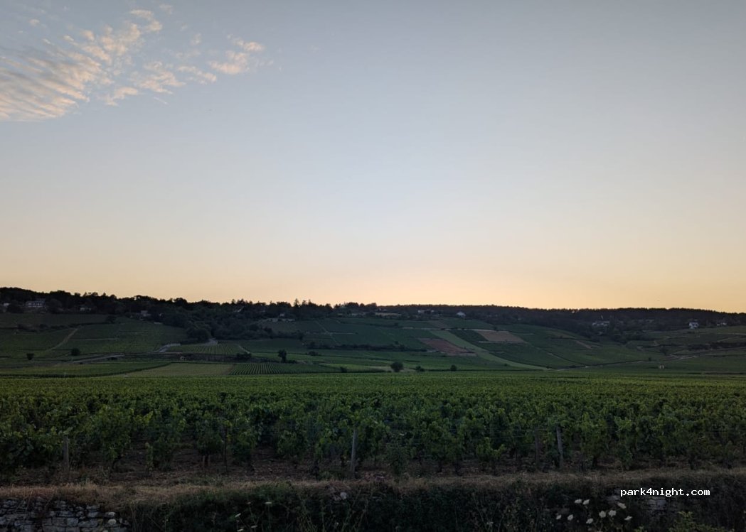 (21200) Beaune - 12 Cours du Genet — foto 3