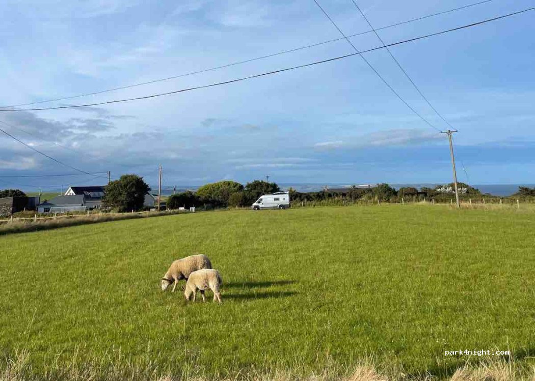 (P25 TF34) Curraghmore Upper - — foto 4