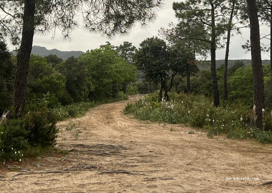 (34800) Clermont-l'Hérault - — foto