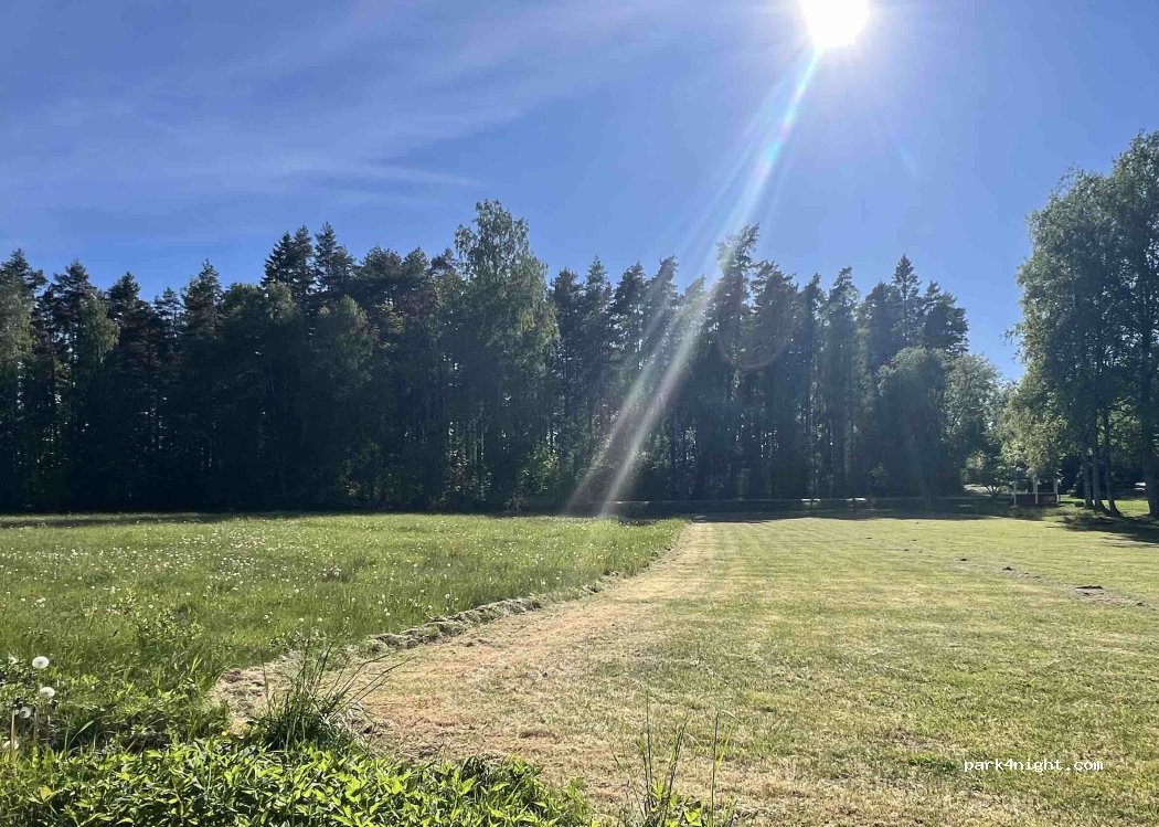 Lycka Sverige — foto