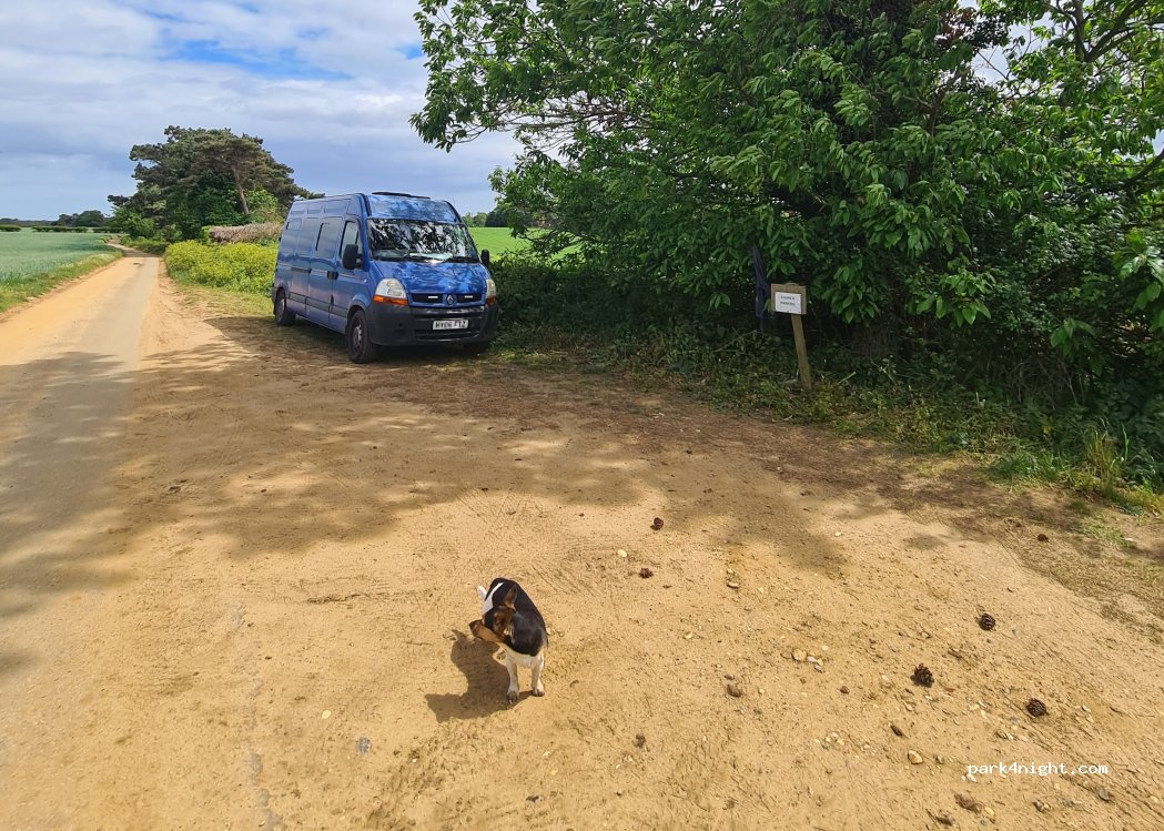 (IP12 3AE) Woodbridge - Unnamed road — foto