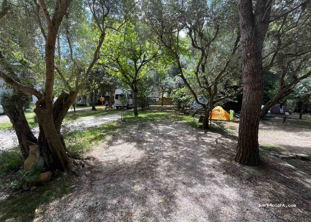 Camping Reno — foto 2