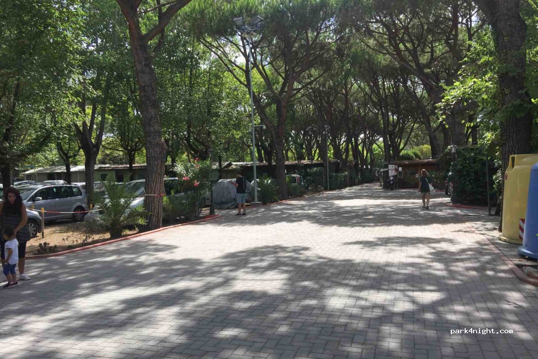 Camping Dal Pino — foto 2