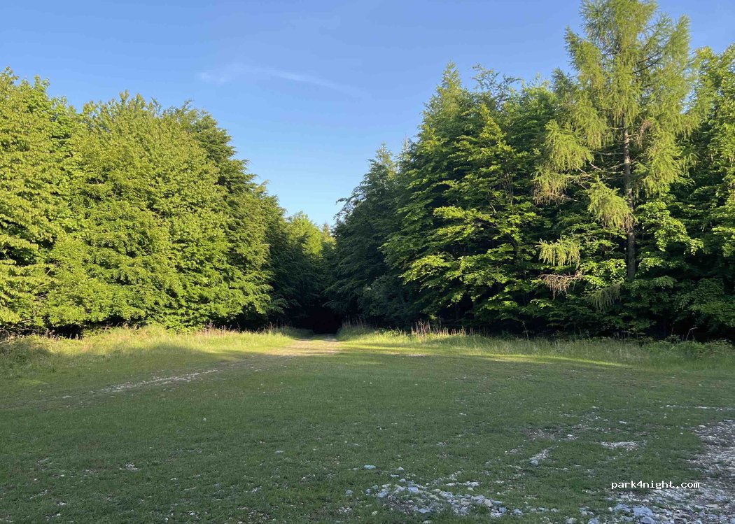 (907 01) Brestovec - — foto 2