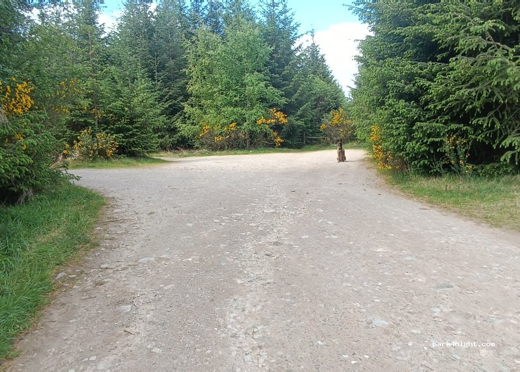 (6DY) Banchory - Unnamed Road — foto 2