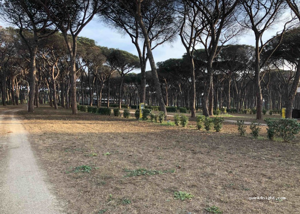Camping Roma CAPITOL — foto 2
