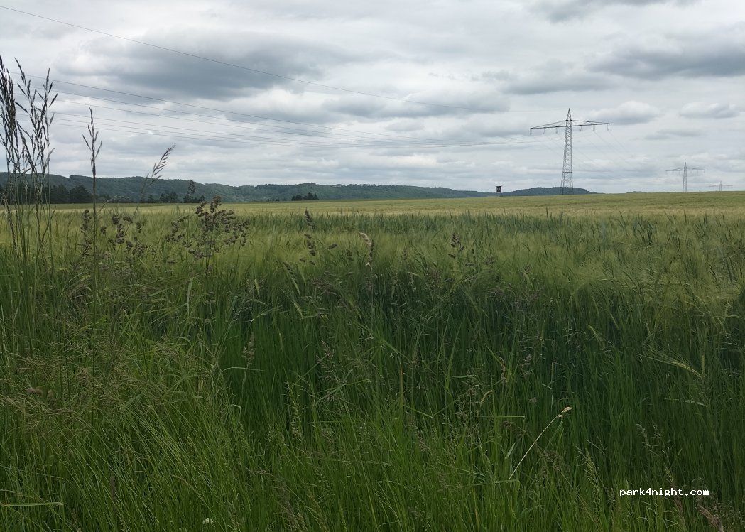 (54470) Bernkastel-Kues - Unnamed Road — foto