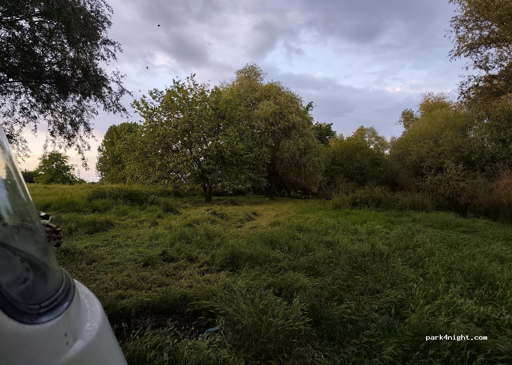 (307396) Parța - — foto 2