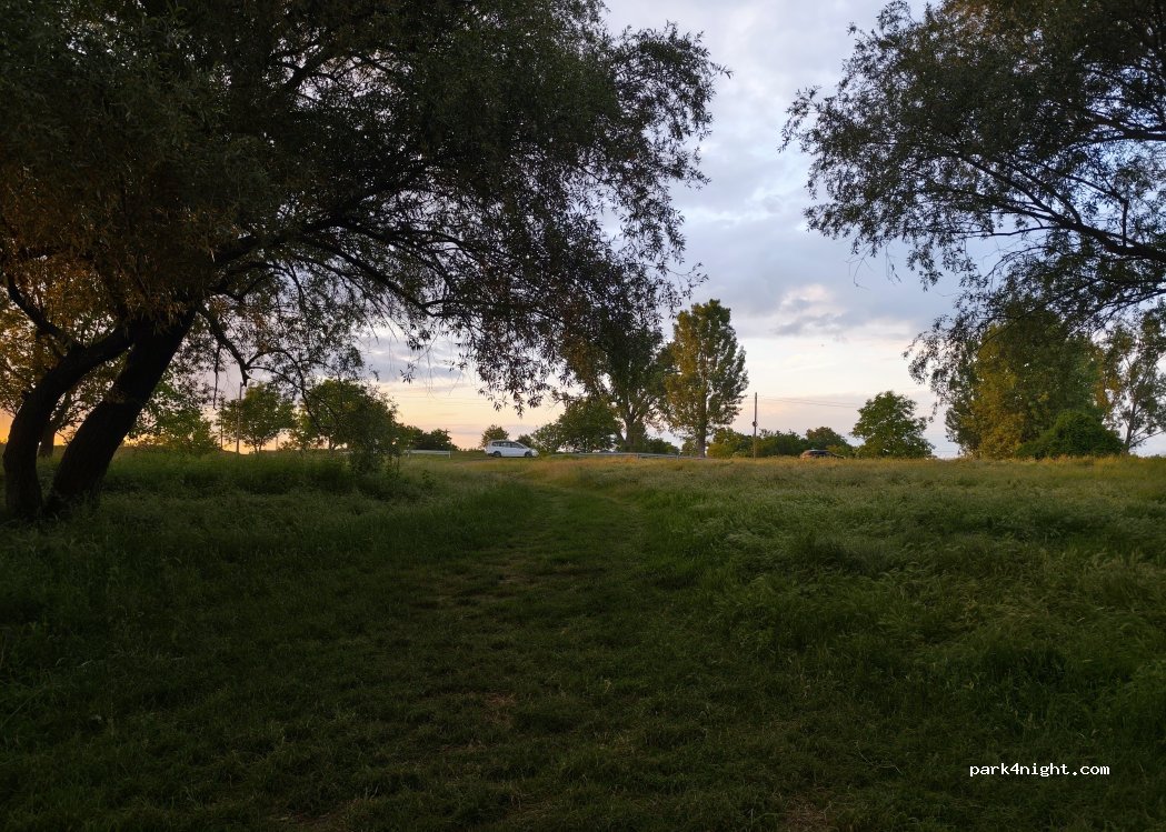 (307396) Parța - — foto 4