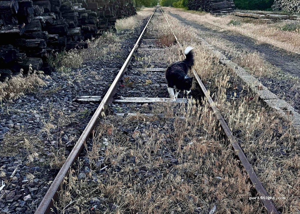 (4274) Hosszúpályi - 29 Vasút utca — foto