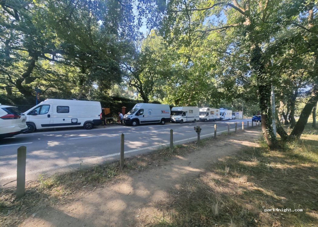 (66700) Argelès-sur-Mer - Av. Jordi Barre — foto 4