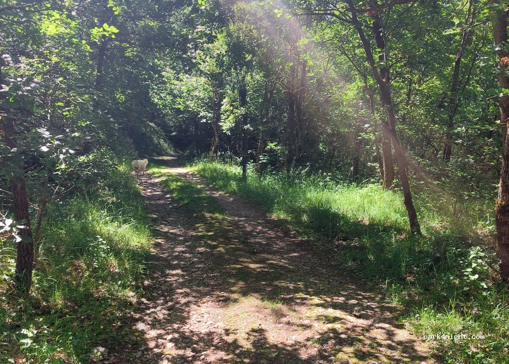 (09250) Garanou - Unnamed Road — foto 2