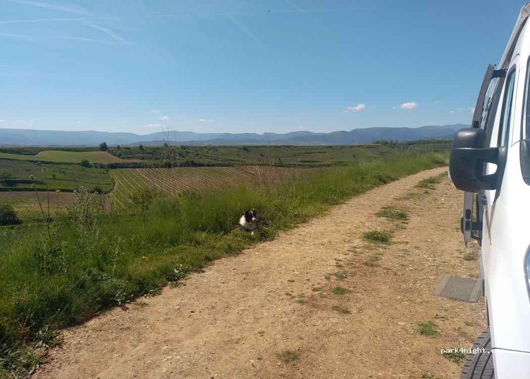 (26324) Alesanco - Unnamed Road — foto 2