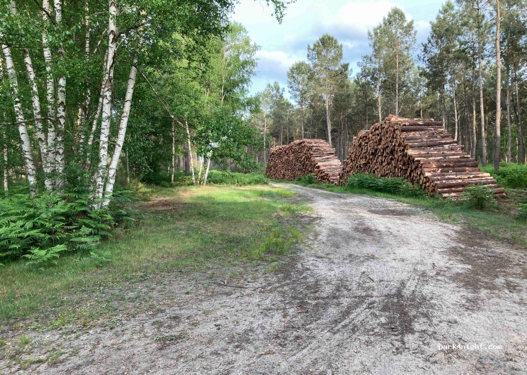 (72470) Saint-Mars-la-Brière - — foto
