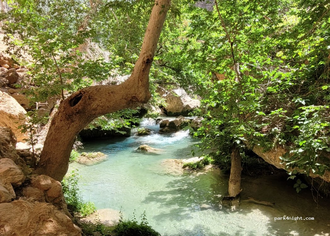 (33730) Kayacı - — foto 2