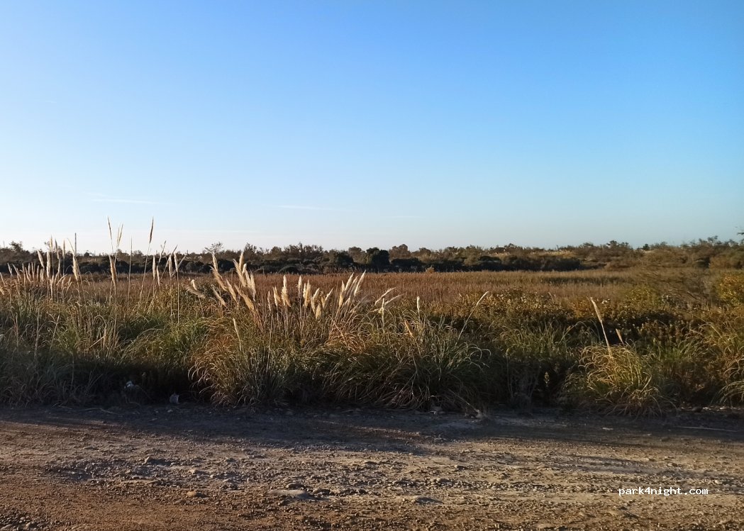 (13104) Arles - Unnamed Road — foto 2