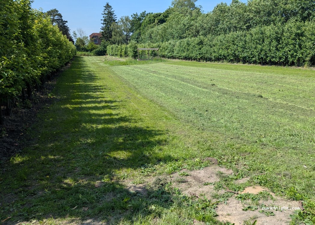 (21706) Drochtersen - 4 Aschhorn — foto 3