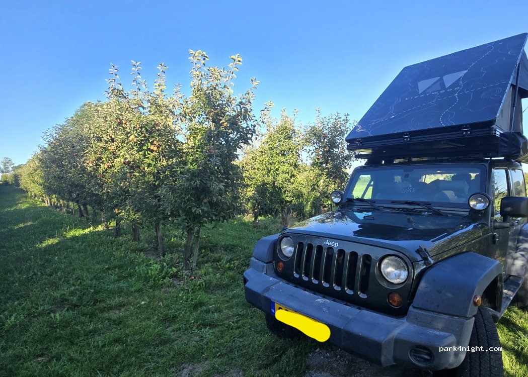 (21706) Drochtersen - 4 Aschhorn — foto 4