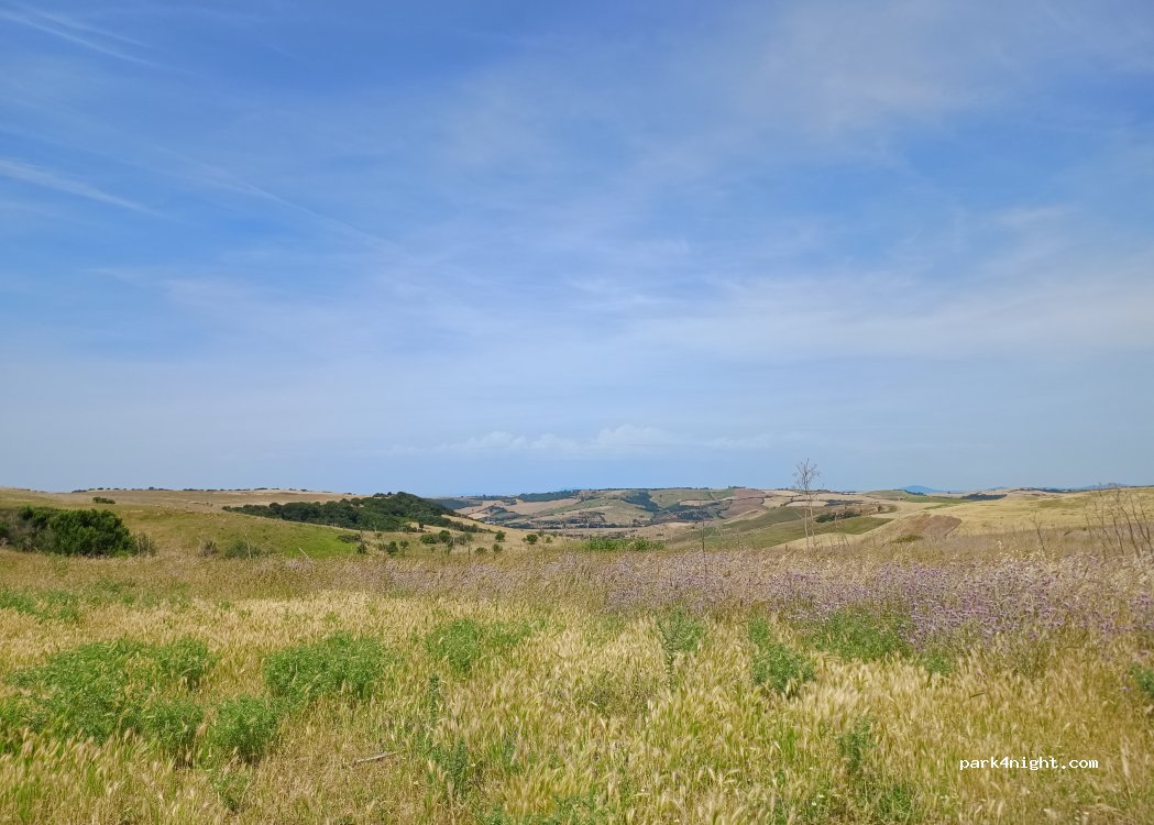 (01016) Tarquinia - — foto 3