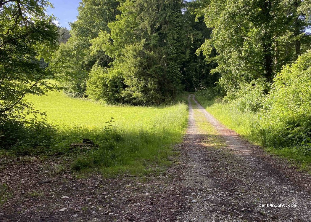 (78337) Öhningen - — foto