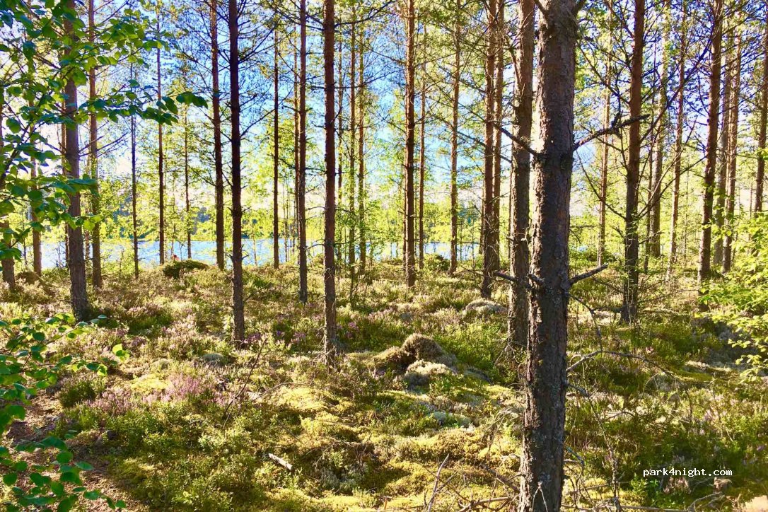 (792 92)  - Moravägen — foto 3