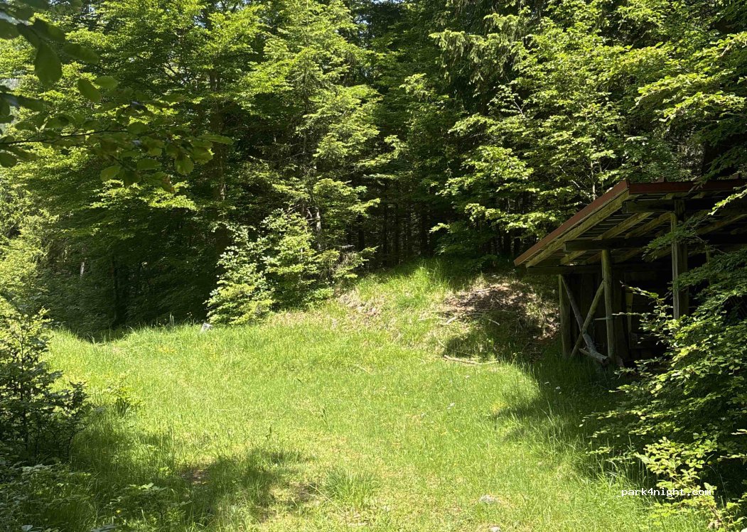 (33018) Tarvisio - — foto