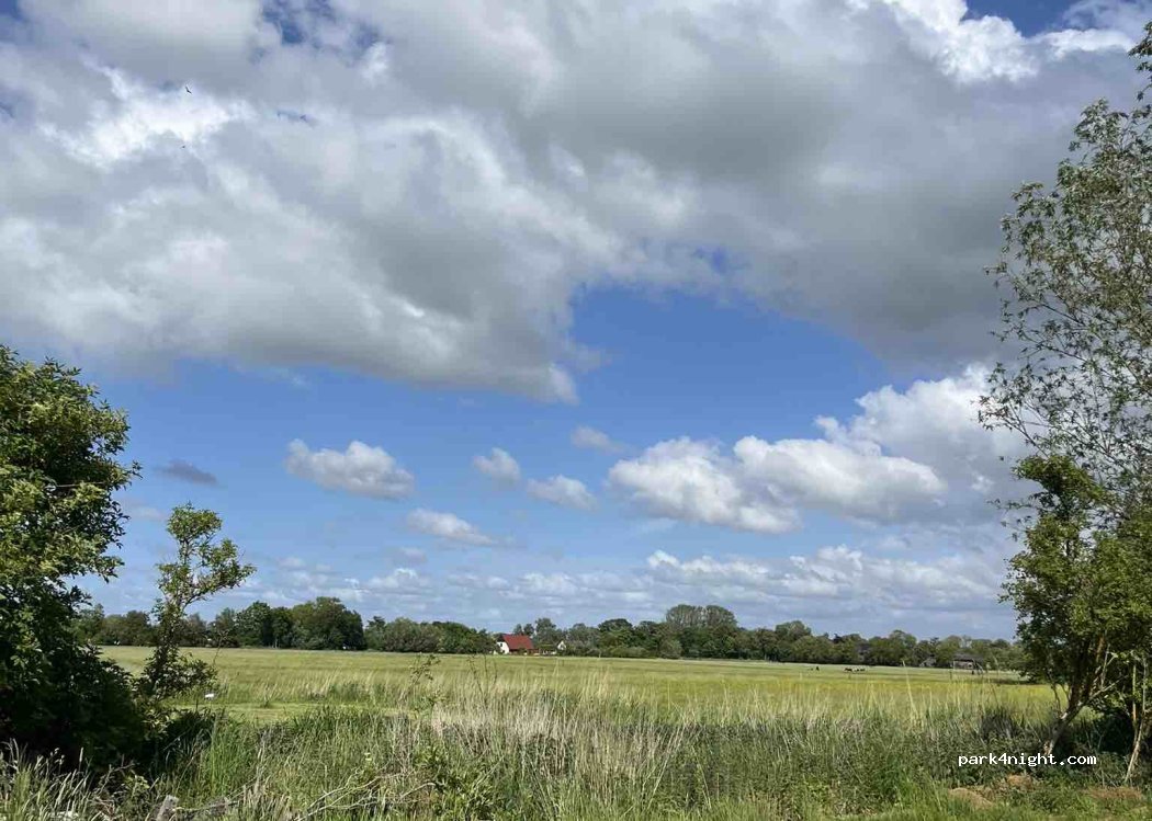 (26954) Nordenham - 12 Heeringer Weg — foto