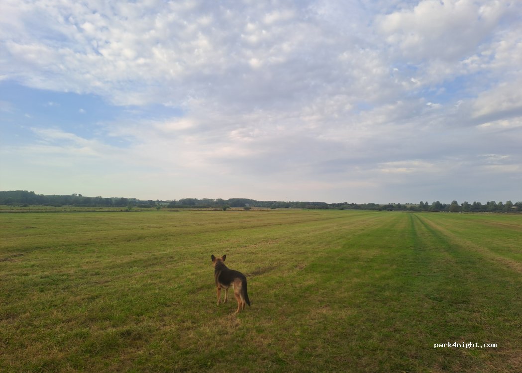 (08400) Falaise - — foto