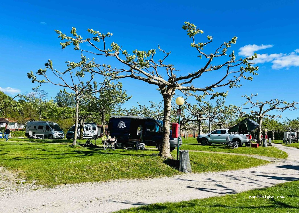 Camping La Quiete Bertinotti Edo — foto 4