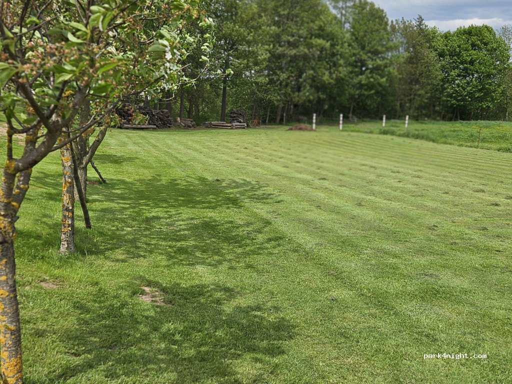 krajawiese781, bei Bleicherode — foto