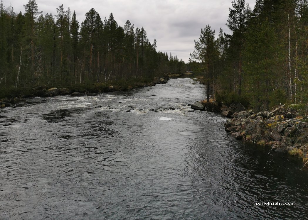 (933 90) Moskosel - — foto