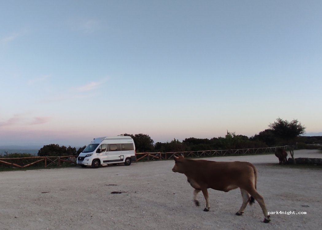 (09020) Giara di Gesturi - Unnamed Road — foto 4