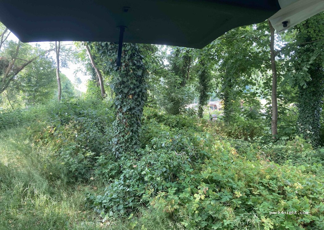 (51370) Champigny-sur-Vesle - 12 Rue de l'Église — foto 3