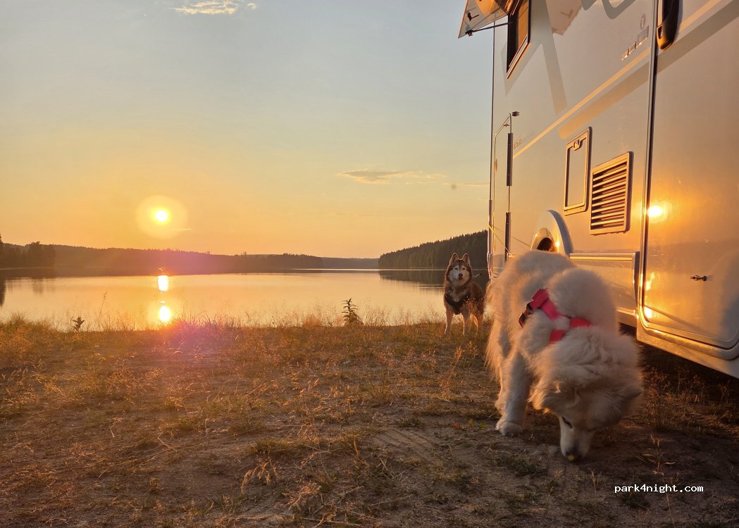 (43100) Saarijärvi - 1262b Myllymäentie — foto 2
