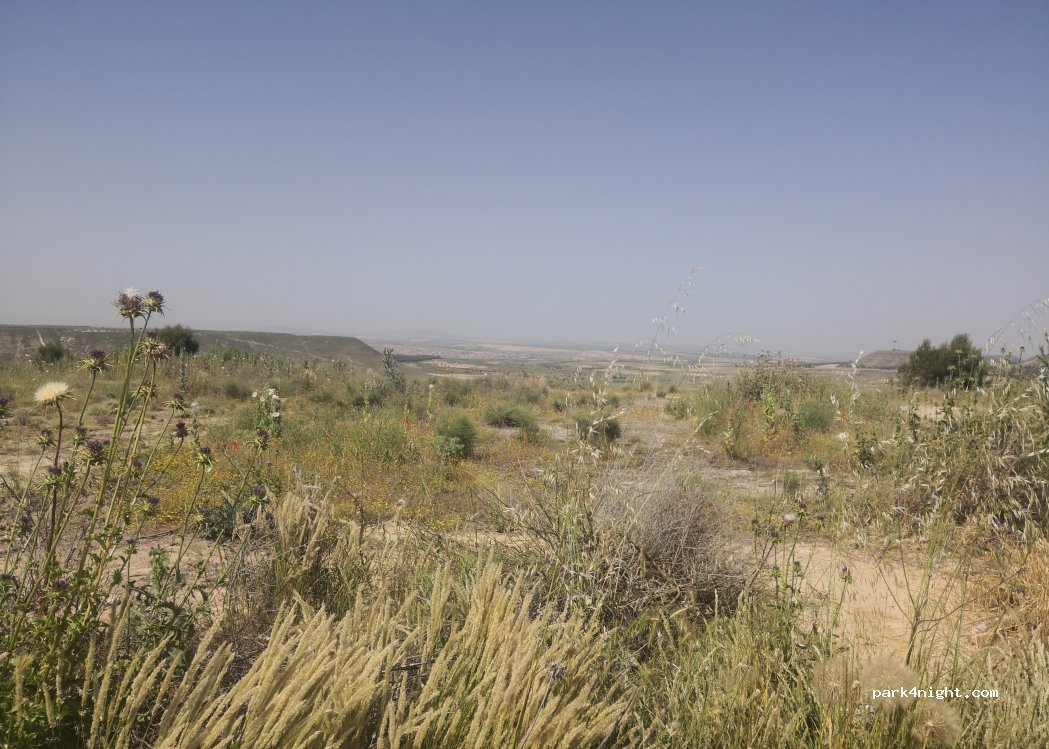 (45313) Yepes - 1517P Terreno Sector S01 — foto 3
