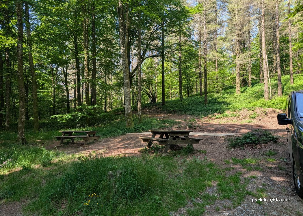 (81270) Labastide-Rouairoux - — foto