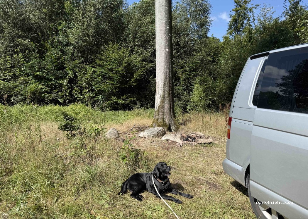 (243 93) Höör - — foto
