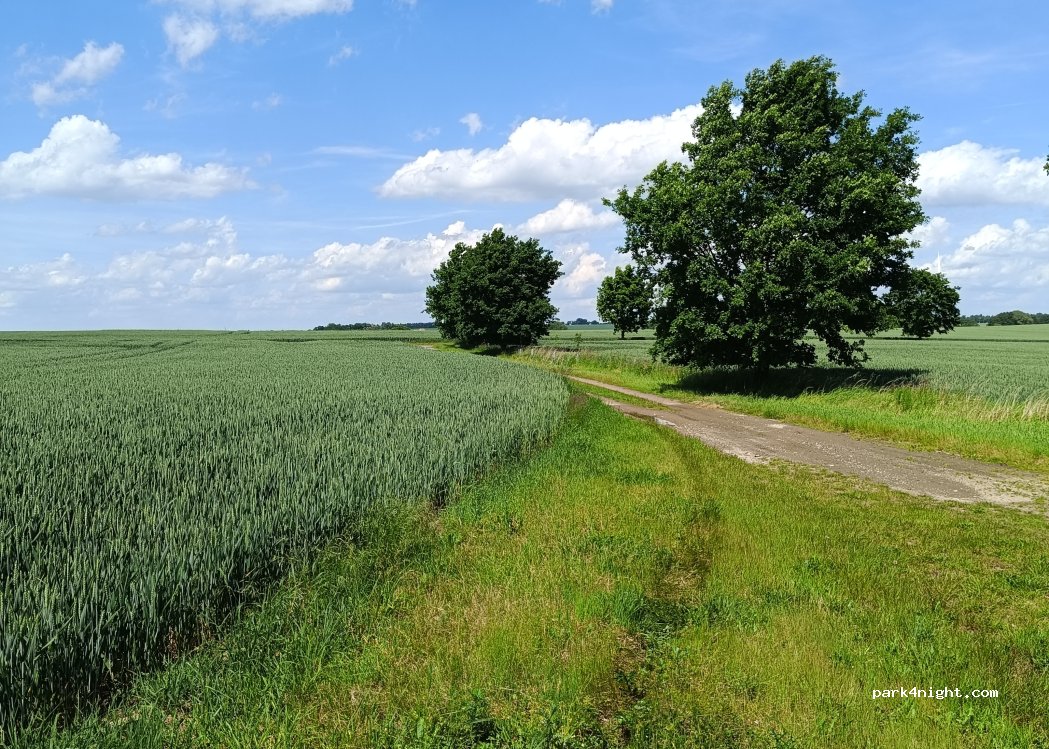 (01683) Nossen - Unnamed Road — foto 4