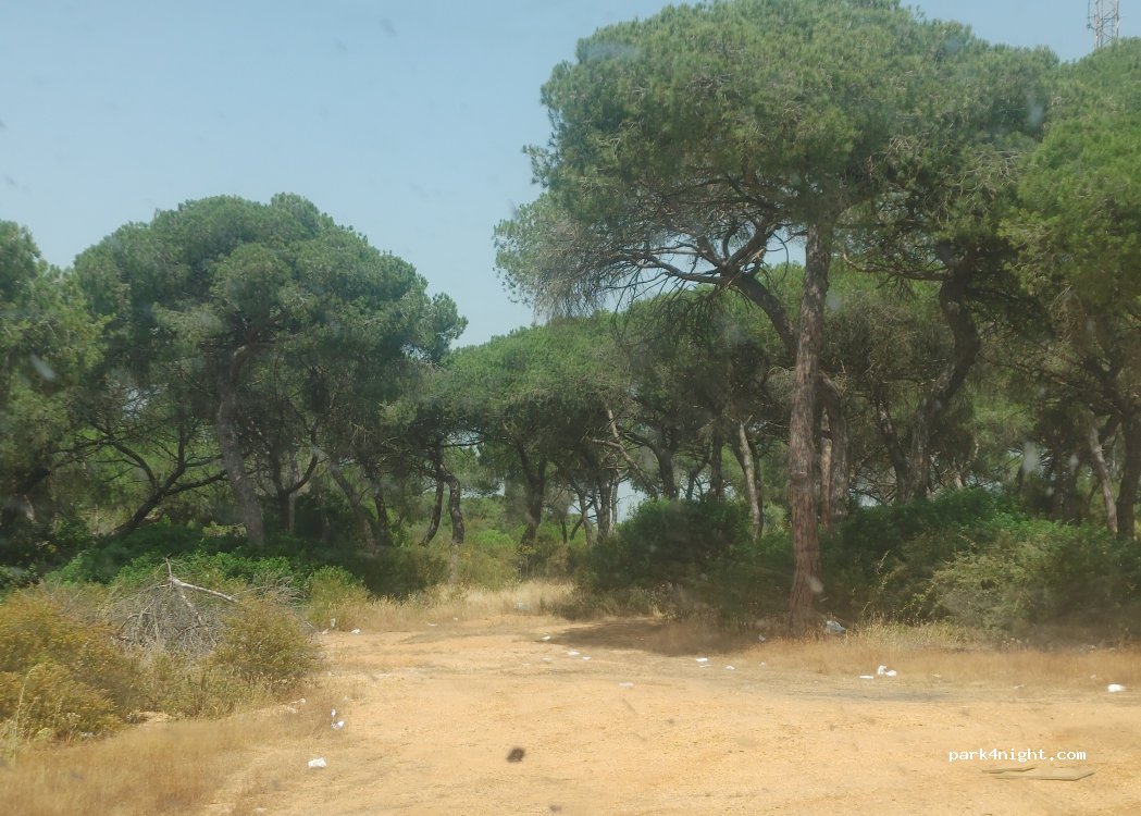 (21100) Punta Umbría - — foto 2