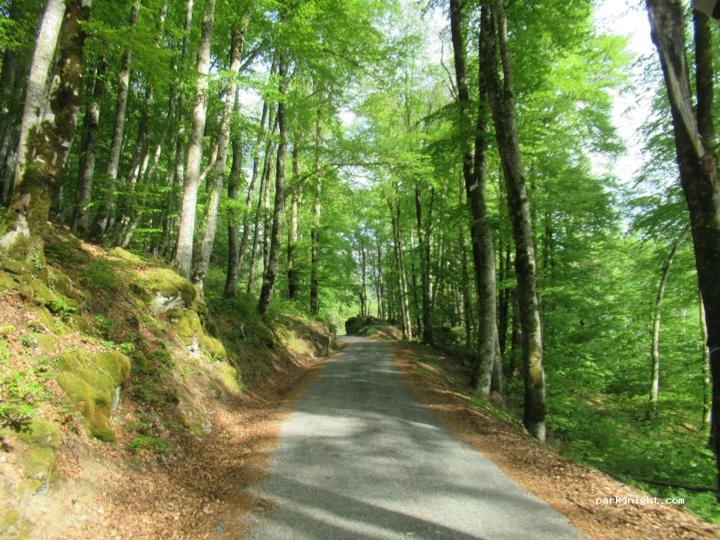 (74740) Sixt-Fer-à-Cheval - Voie Communale N°5 de Salmoiry au Mont — foto 3