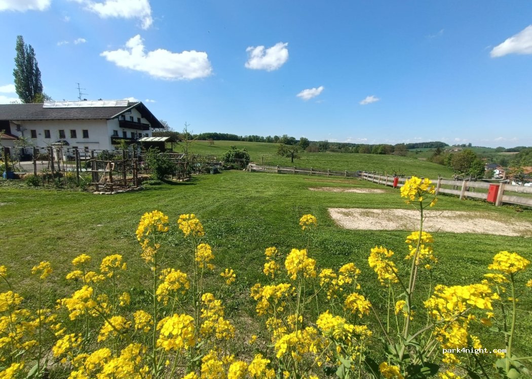 (83373) Taching am See - 1 Hucking — foto