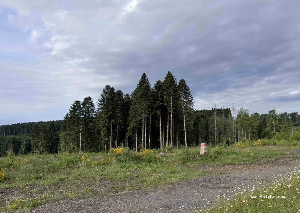 (08800) Les Hautes-Rivières - — foto