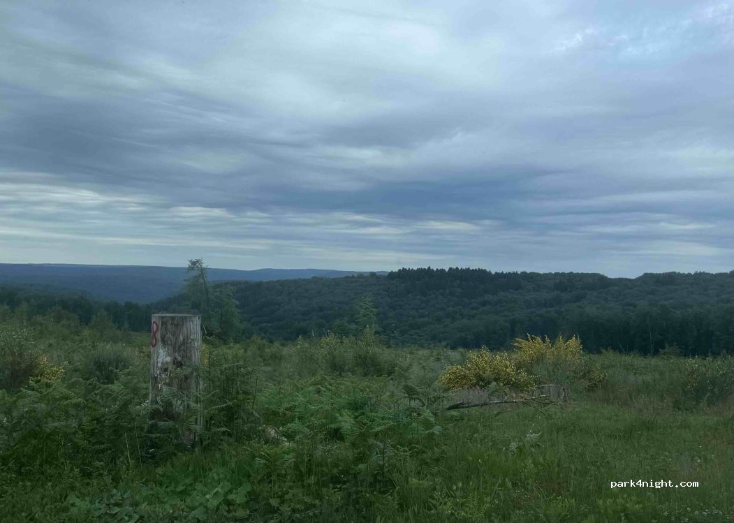 (08800) Les Hautes-Rivières - — foto 2
